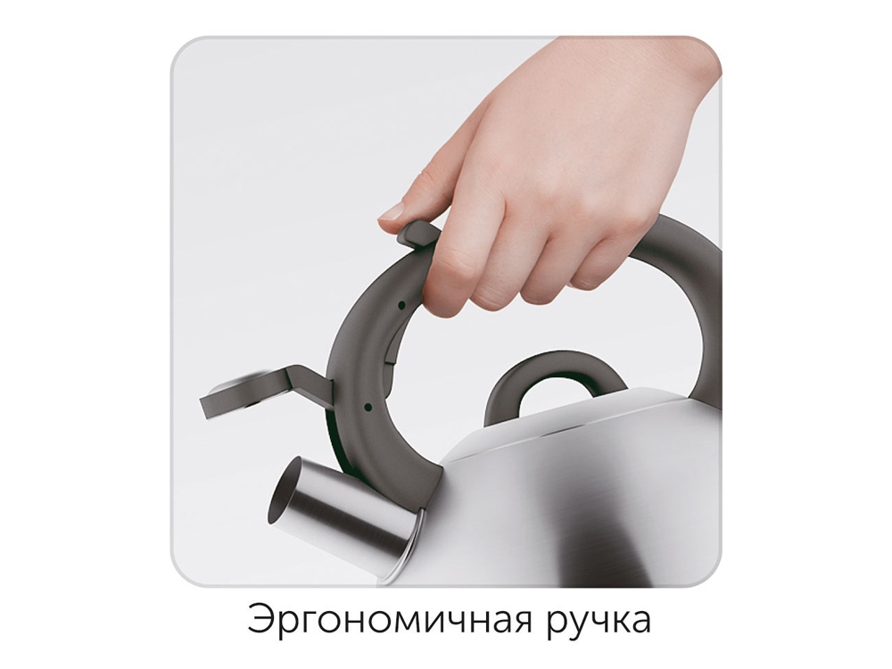 c13d69278ab9974a.jpg
